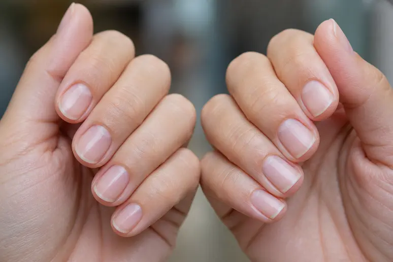Une manucure tendance 2026 avec des ongles courts aux formes squoval et carrée, montrant la variété des options.